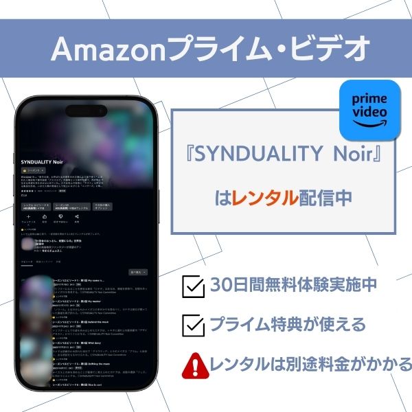 シンギュラリティノワール 配信