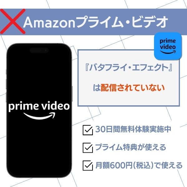 バタフライ・エフェクト 配信