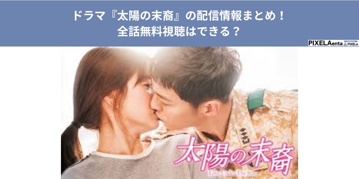 太陽の末裔 配信