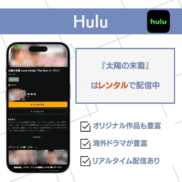 太陽の末裔 配信