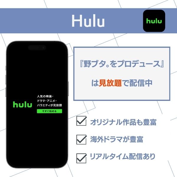野ブタをプロデュース 配信 hulu