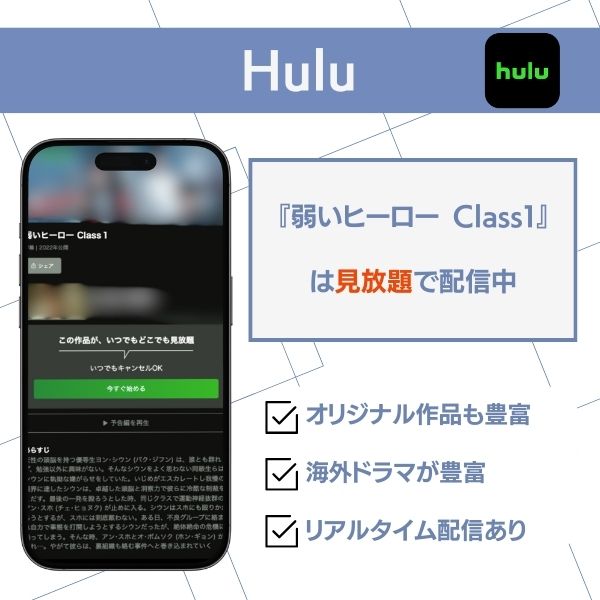 弱いヒーロー ドラマ どこで 見れる