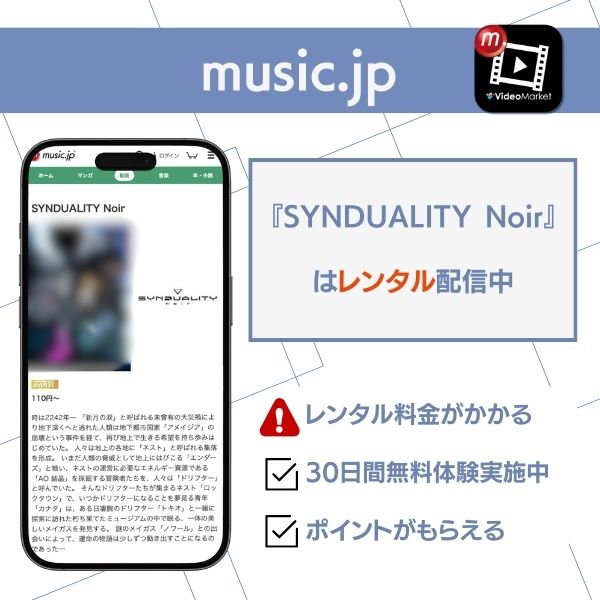 シンギュラリティノワール 配信