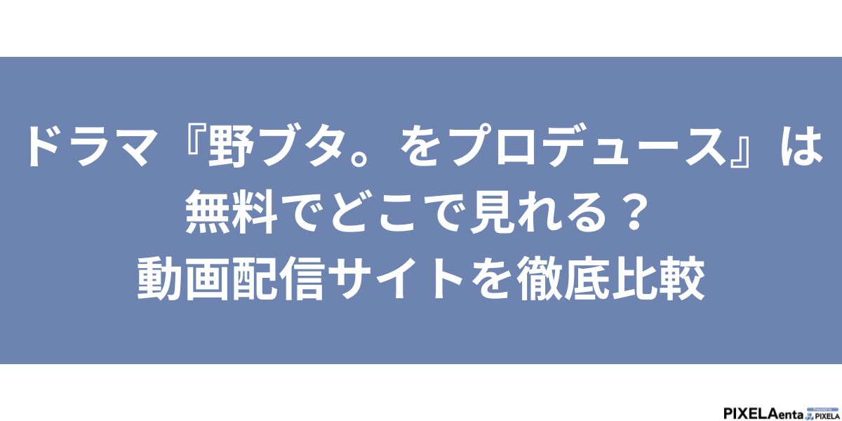 野ブタ。をプロデュース　配信