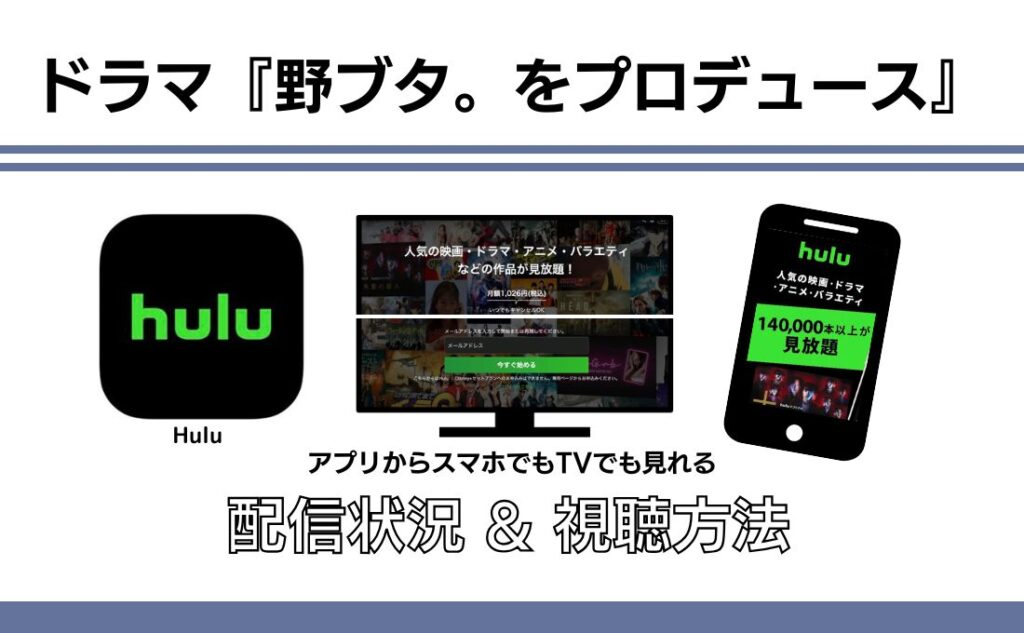 野ブタをプロデュース 配信