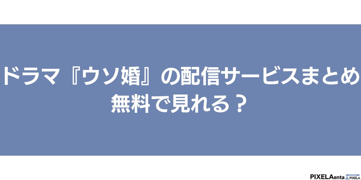 ウソ婚　配信