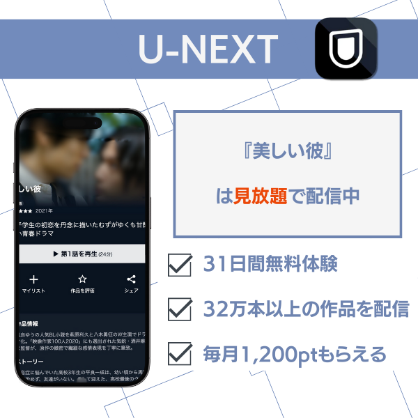美しい彼 U-NEXT
