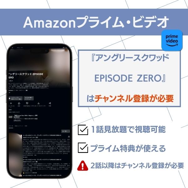 アングリースクワッド 配信