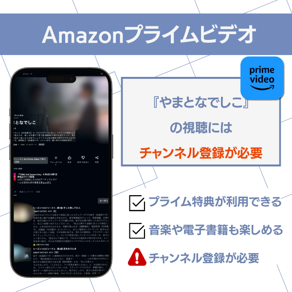やまとなでしこ 配信