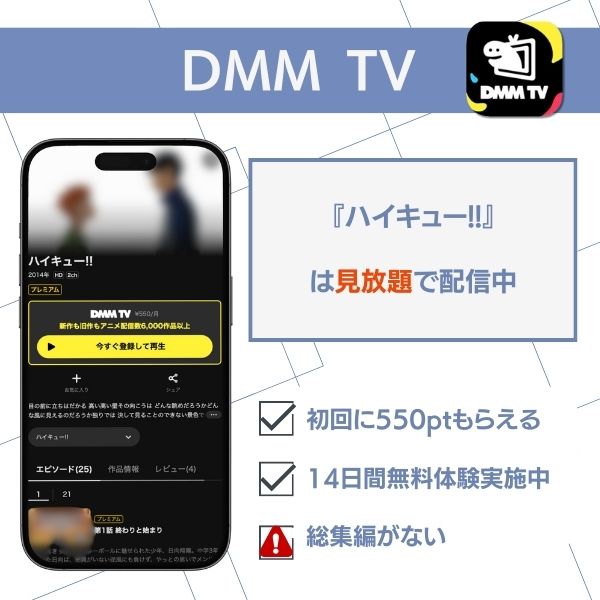 ハイキュー!! 配信 DMM TV