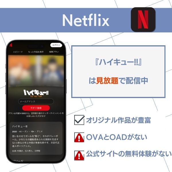 ハイキュー!! 配信 Netflix