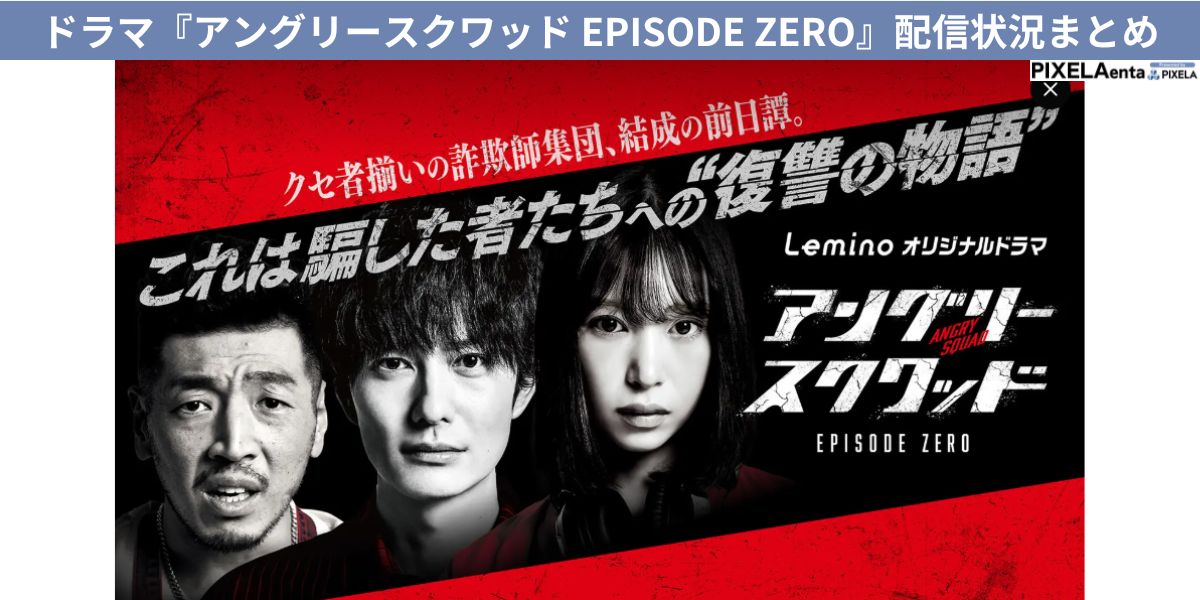 アングリースクワッド 配信