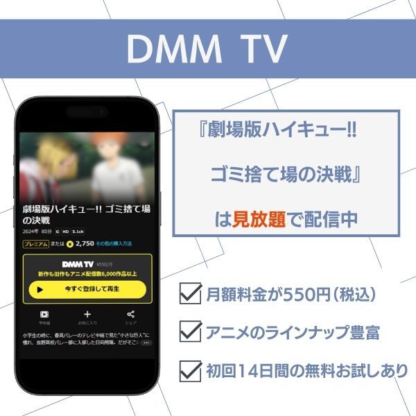 ハイキューゴミ捨て場の決戦 どこで見れる DMM TV