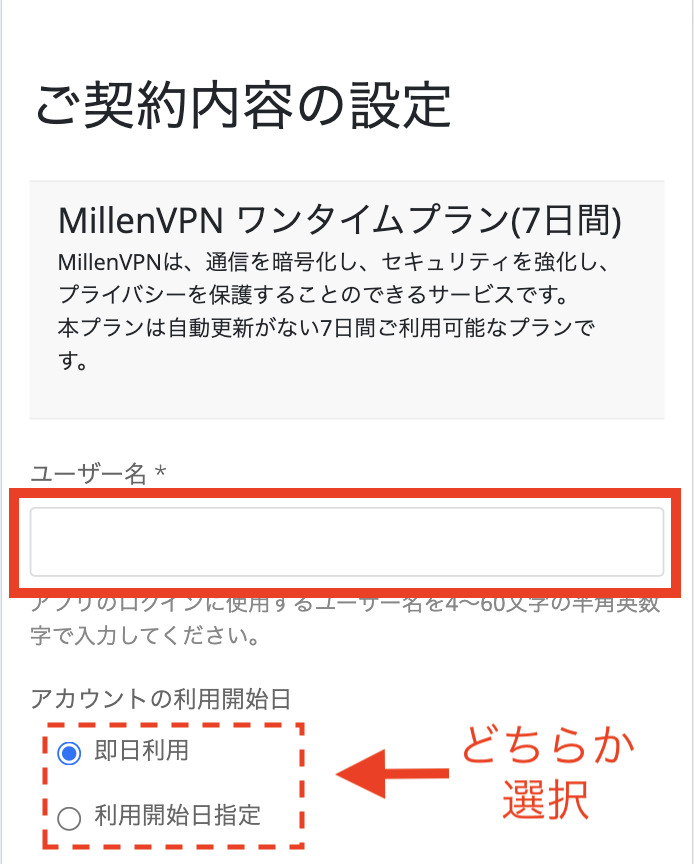 天空の城ラピュタ　Netflix VPN 登録方法