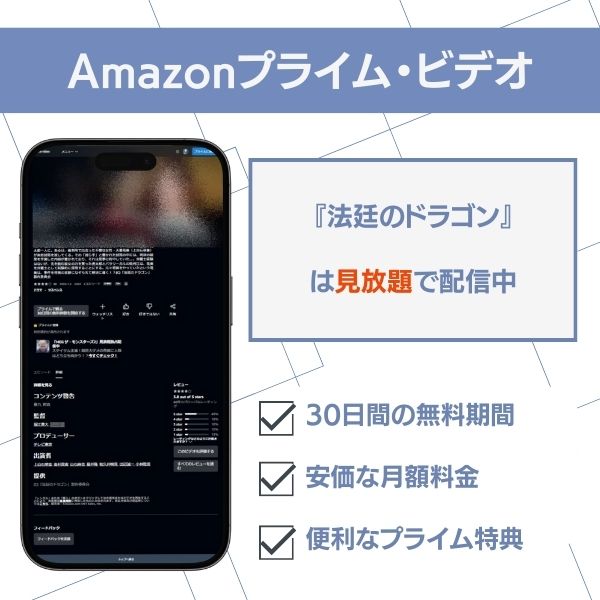 法廷のドラゴン 配信