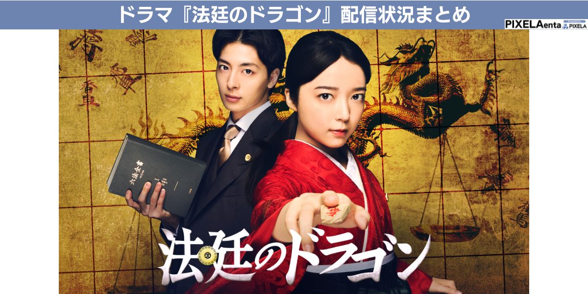 法廷のドラゴン 配信