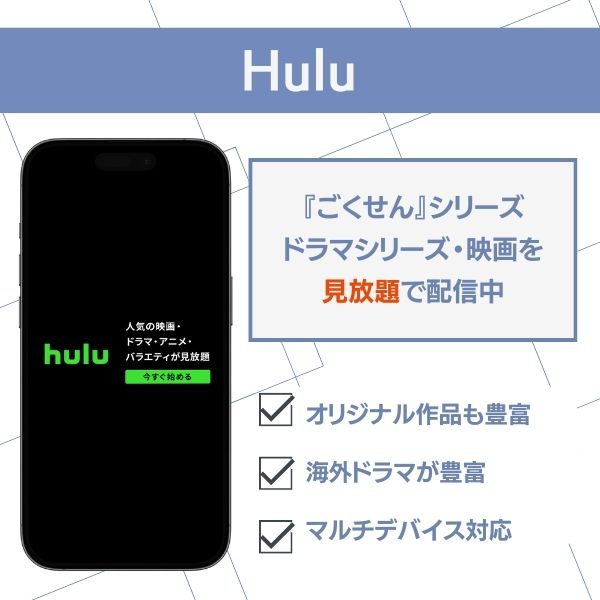 ごくせん 配信 Hulu