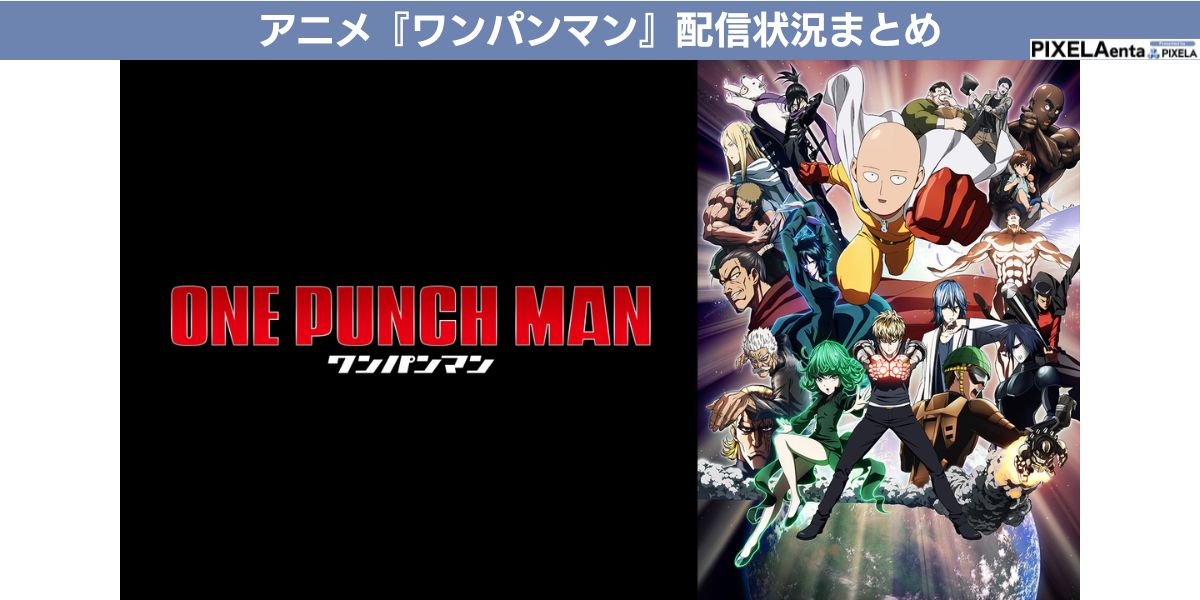 ワンパンマン 配信