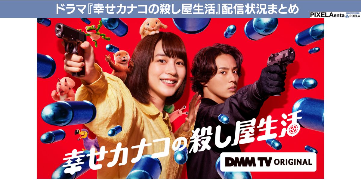 幸せカナコの殺し屋生活 配信