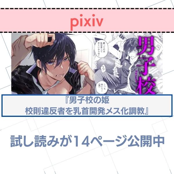 男子校の姫 校則違反者を乳首開発メス化調教 pixiv