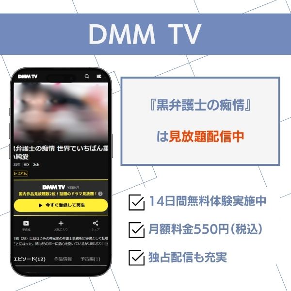 黒弁護士の痴情 配信 DMM TV