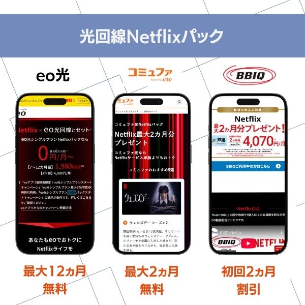 Netflix 料金 光回線Netflixパック