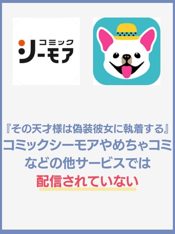 その天才様は偽装彼女に執着する　その他サイト