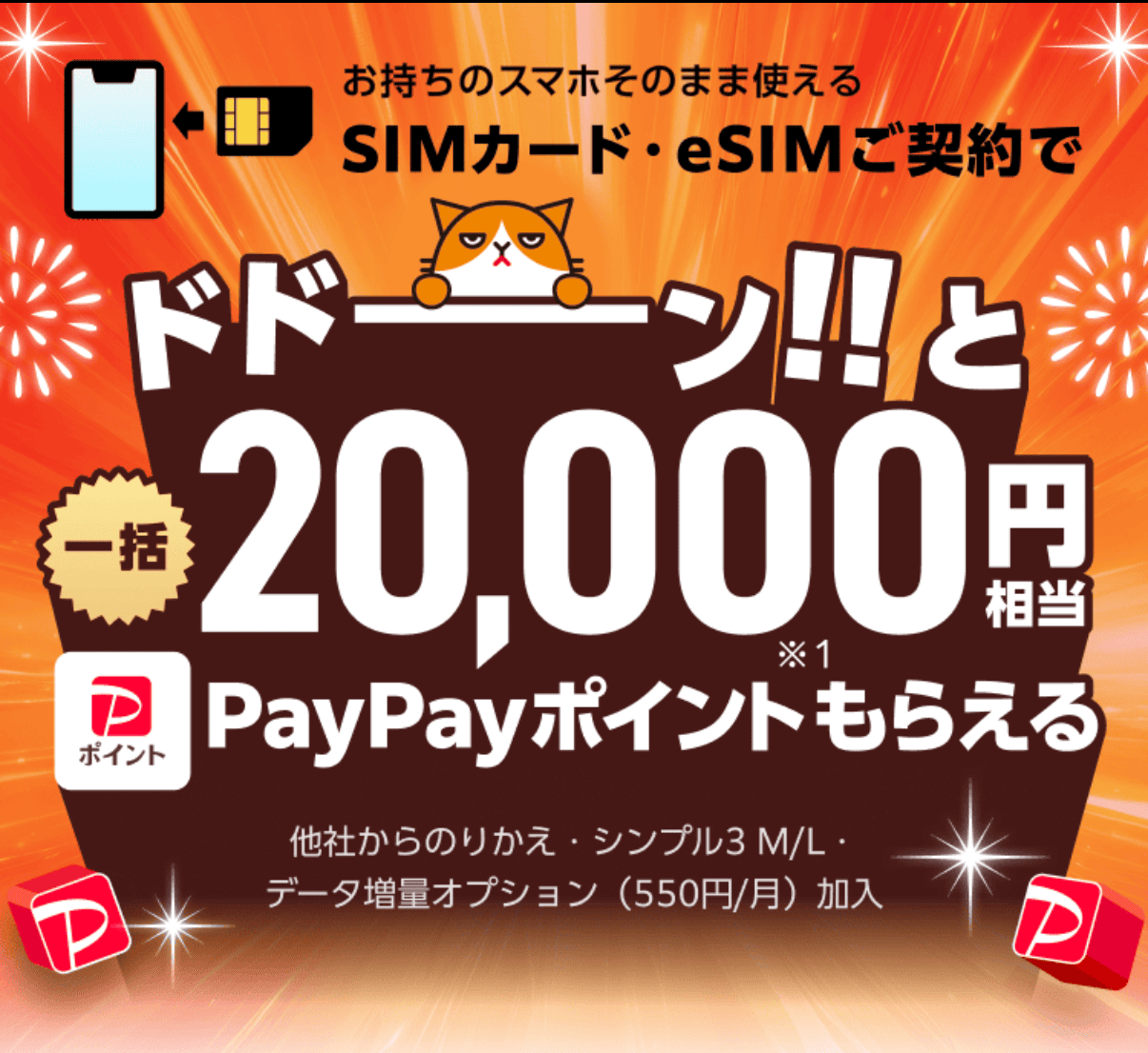 ワイモバイル　キャンペーン