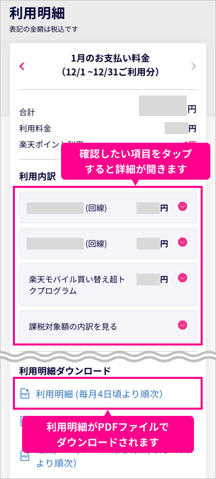 楽天モバイル　料金明細
