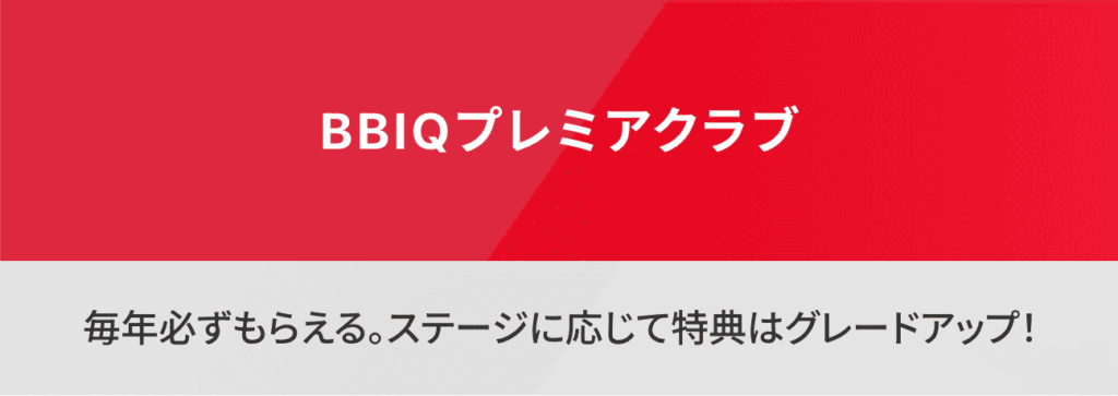 QTモバイル_BBIQ