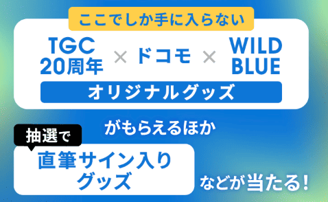 hamo-WILDBLUE-Switching-Campaign.